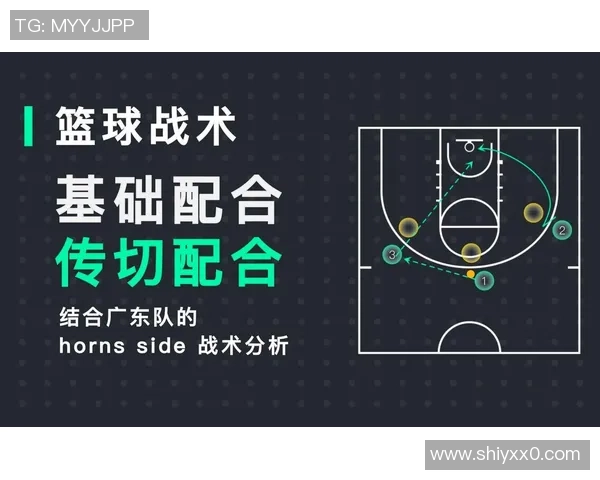 深圳篮球队阵地战解析：战术运用与球队发展新思路